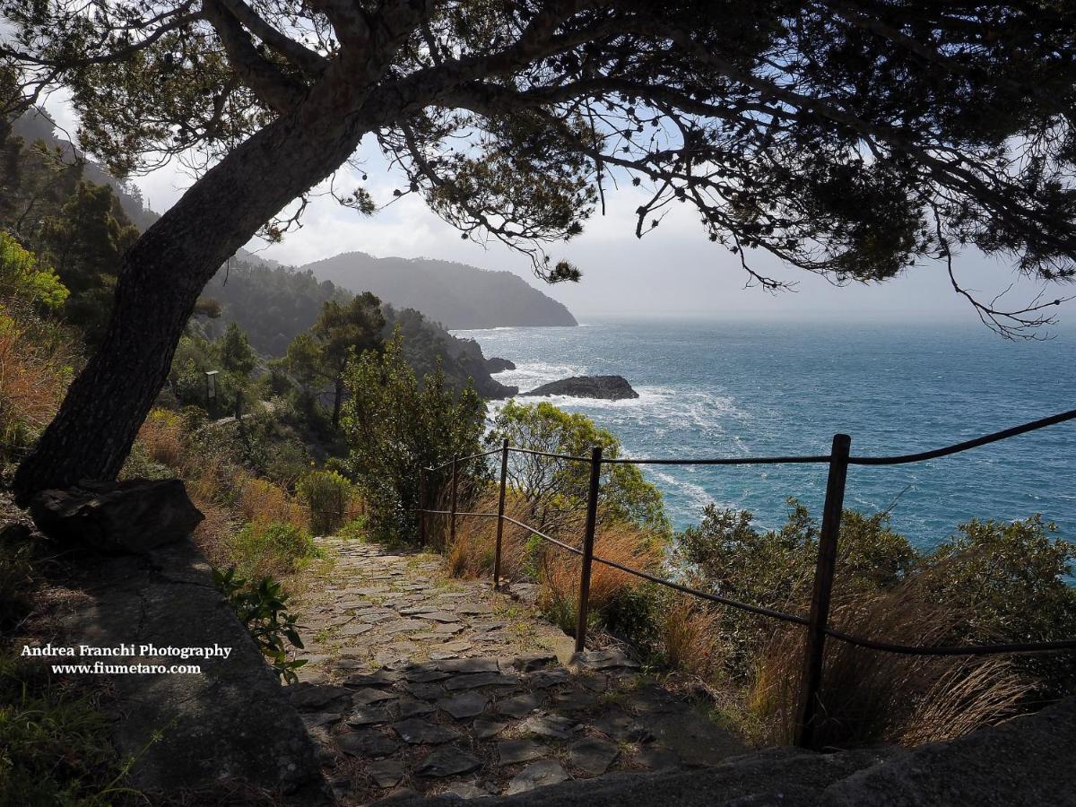 La Terrazza Sul Mare Lejlighed Levanto Eksteriør billede